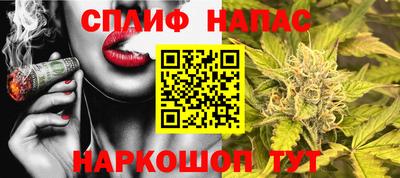 шишки Нальчик