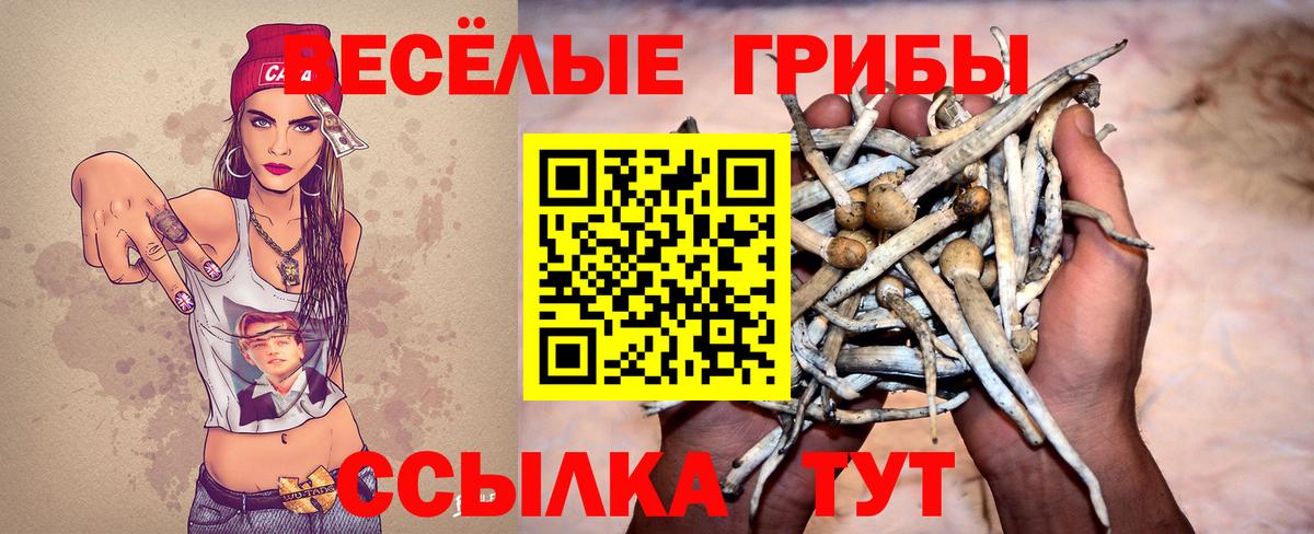 Галлюциногенные грибы Psilocybine cubensis Полевской